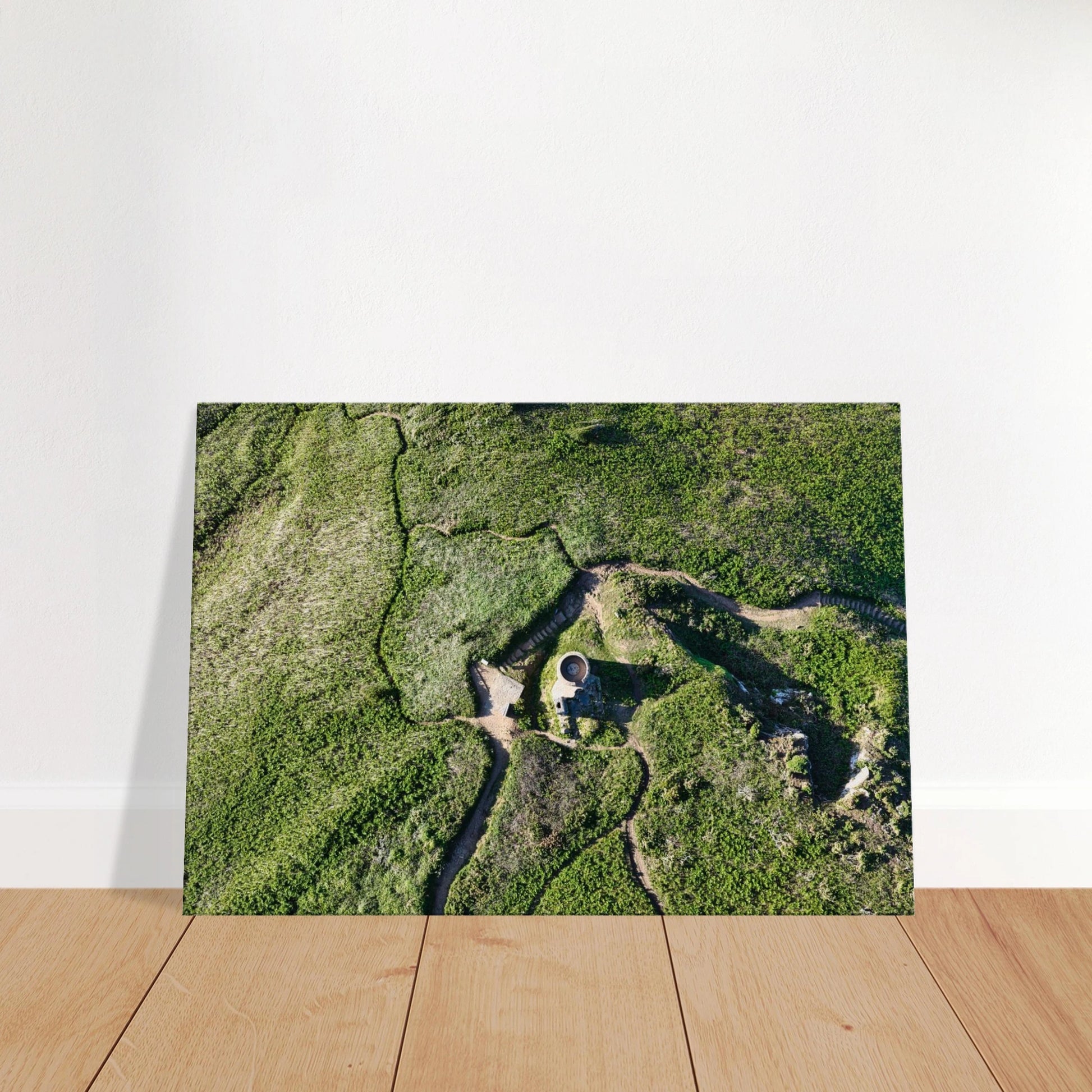 8d7adbe9-f5e5-4354-9ed1-bc59455369fd