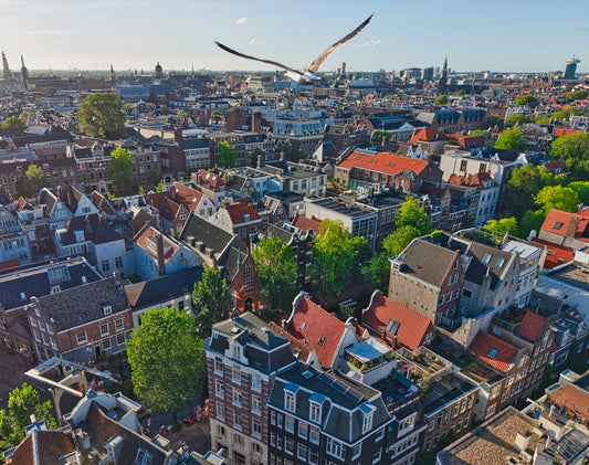 Amsterdam 2026 - 20