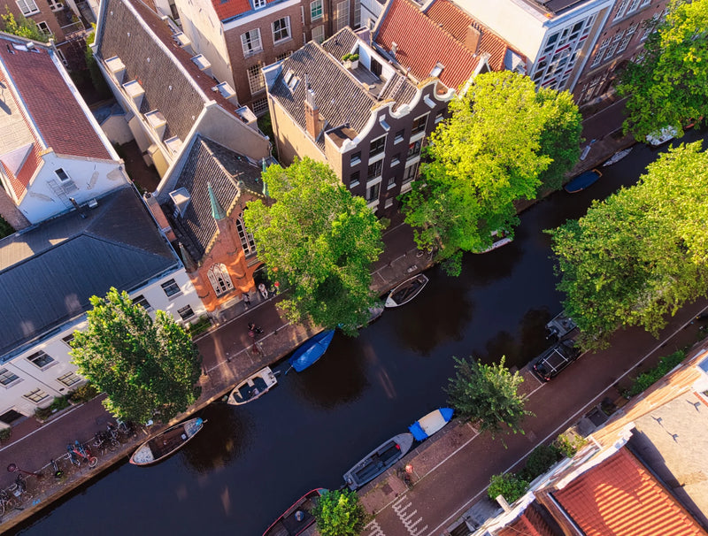 Amsterdam 2026 - 21