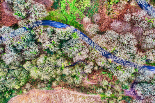 Bouley Bay Hill Curved Road | Jersey Aerial Abstract
