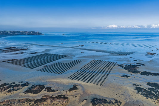 Grouville Bay Oyster Beds | Jersey Aerial Landscape